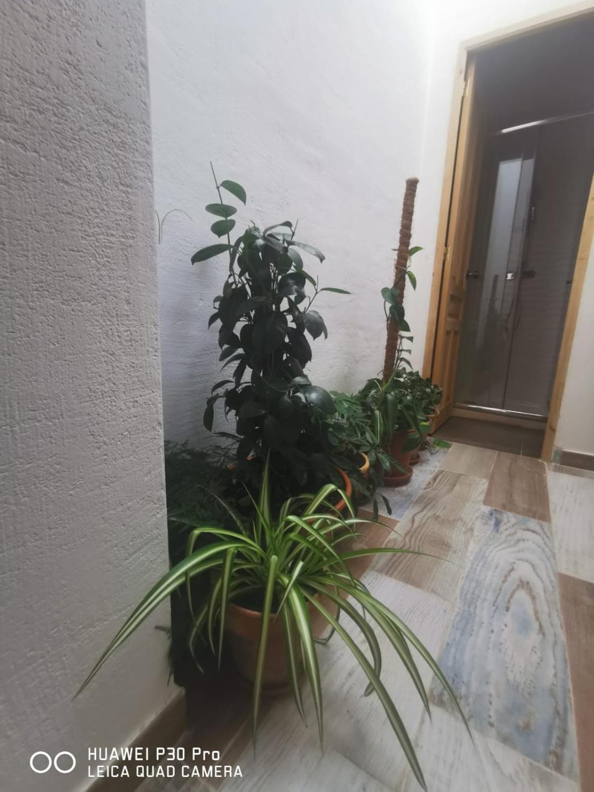 Apartamento Cassa Beata En La Colina Cullera Exterior foto